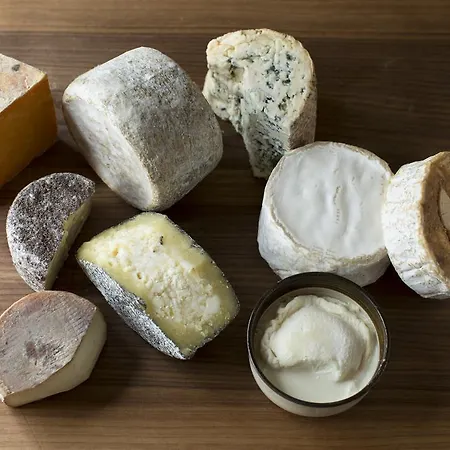 فندق Geniesserhotel Forelle تيكيندورف